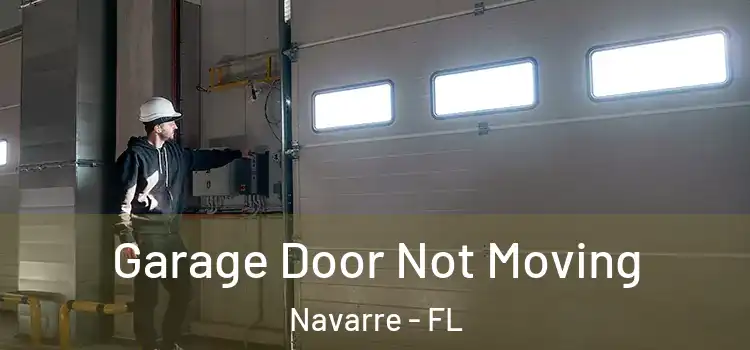  Garage Door Not Moving Navarre - FL