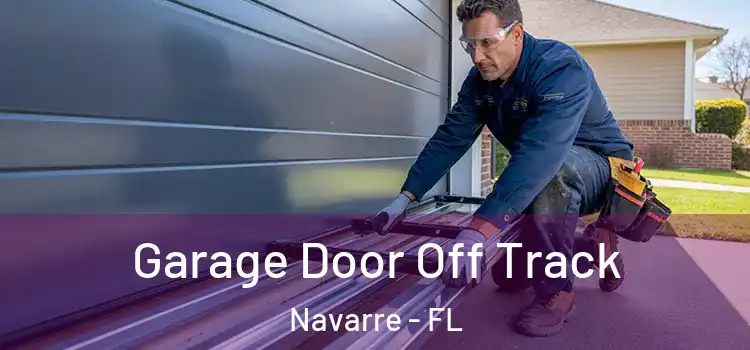  Garage Door Off Track Navarre - FL