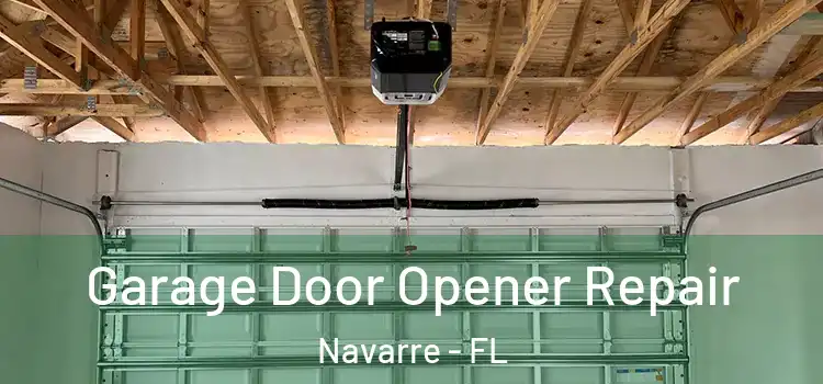  Garage Door Opener Repair Navarre - FL