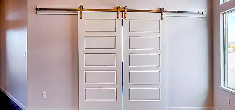 Glass Barn Door with Installation Hardware Kit Navarre