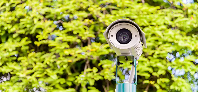 Advanced Surveillance Solutions for Every Need in Navarre